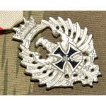 Медаль испанских добровольцев за кампанию в России в 1941 году, реплика